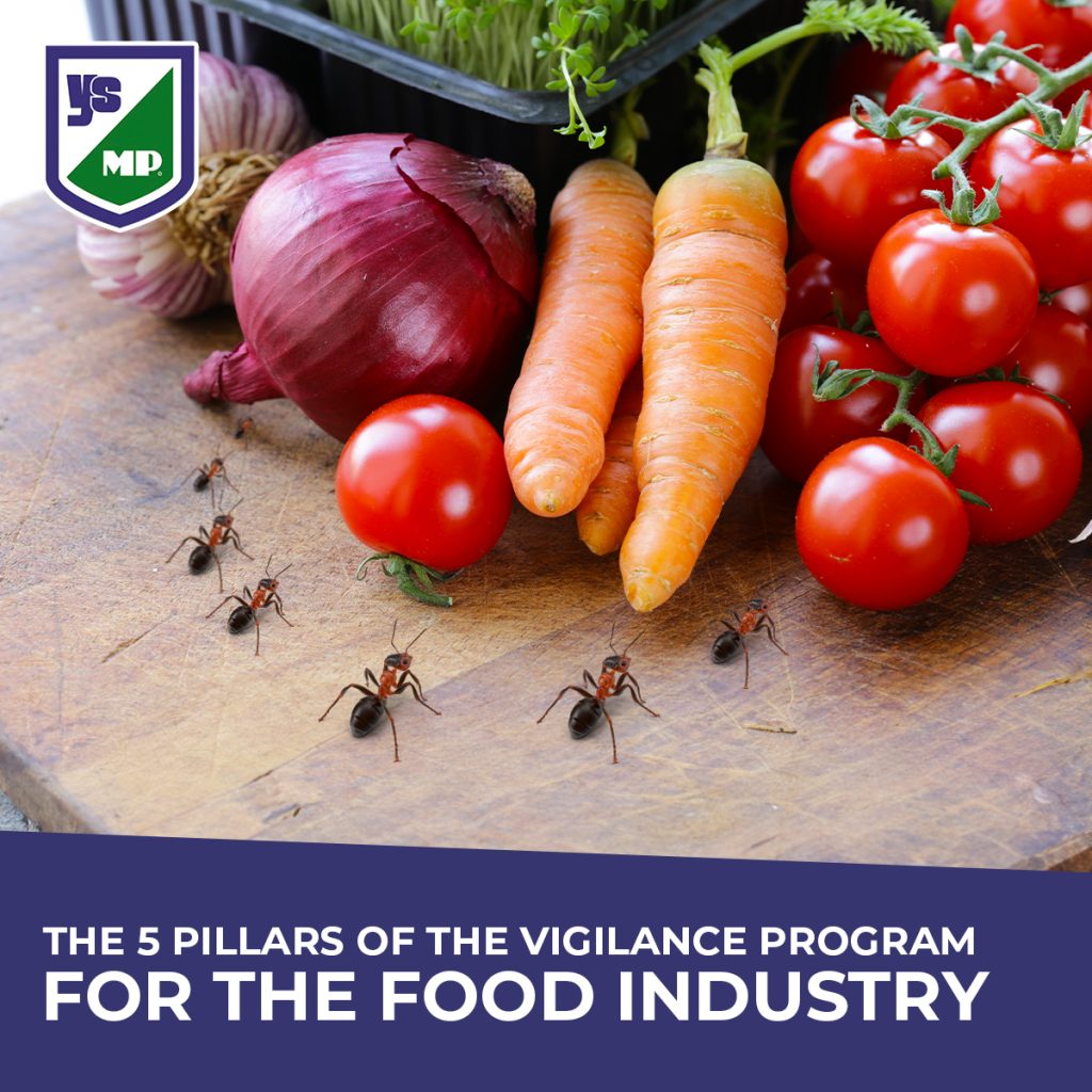 vigilance program