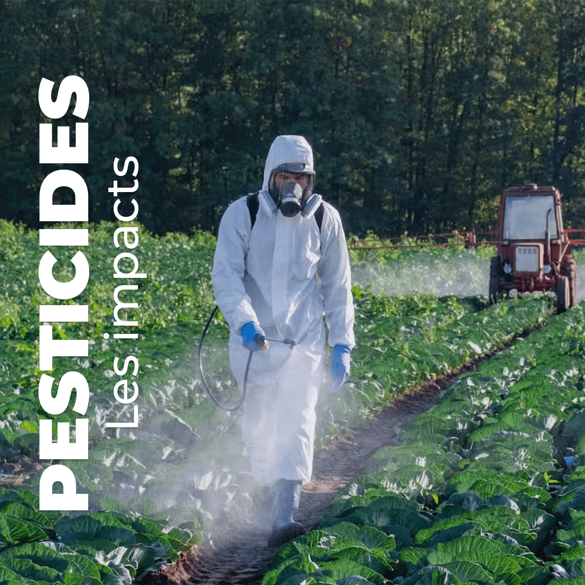 pesticides lutte antiparasitaire